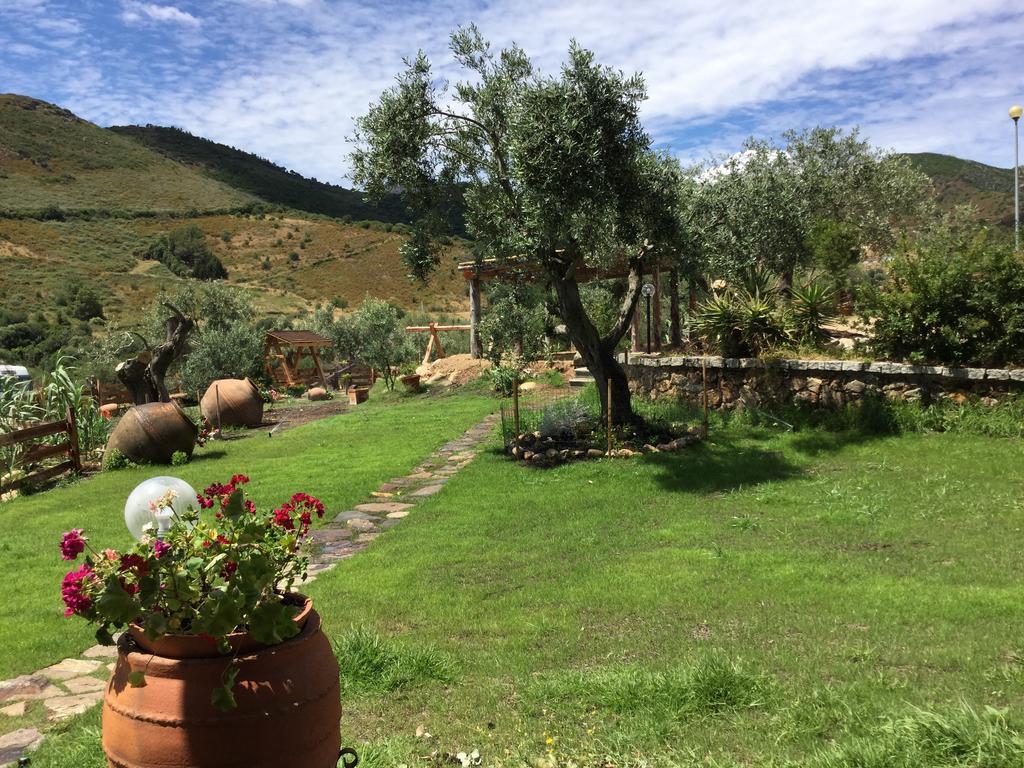 Bed and Breakfast Il Giardino Di Daniela San Teodoro  Exterior foto
