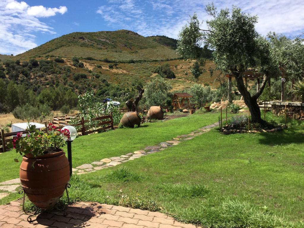 Bed and Breakfast Il Giardino Di Daniela San Teodoro  Exterior foto