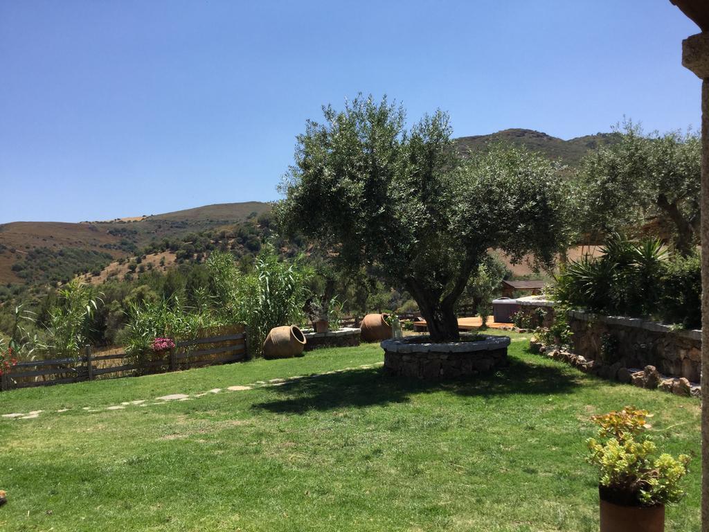 Bed and Breakfast Il Giardino Di Daniela San Teodoro  Exterior foto